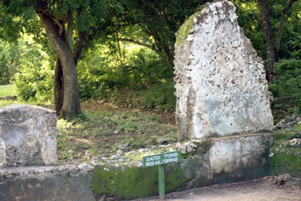 Ruins of Gedi: A Medieval Swahili Coastal Settlement 5 Ruins of Gedi