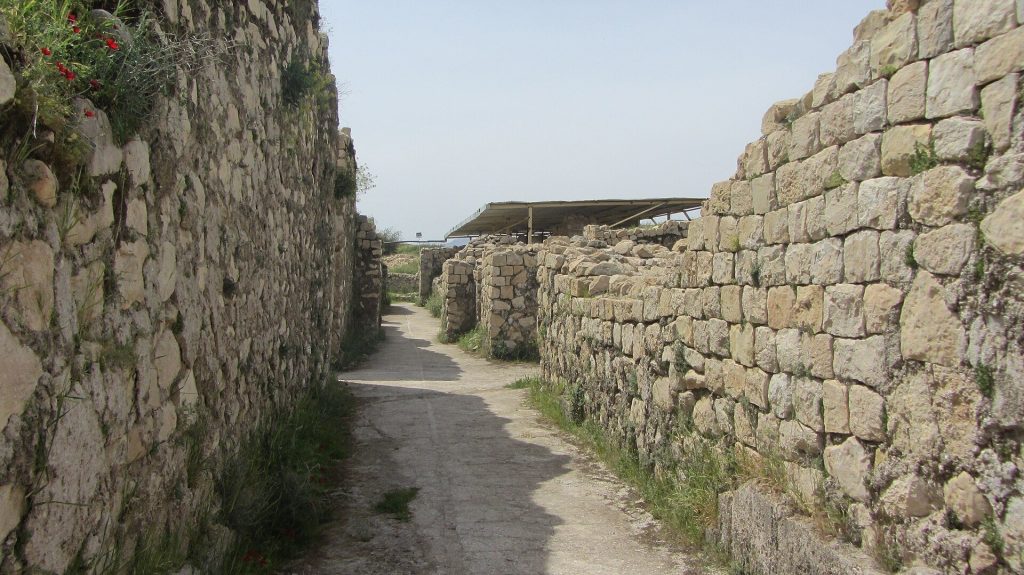 Bishapur: A Sasanian Royal City in Iran 2 Bishapur