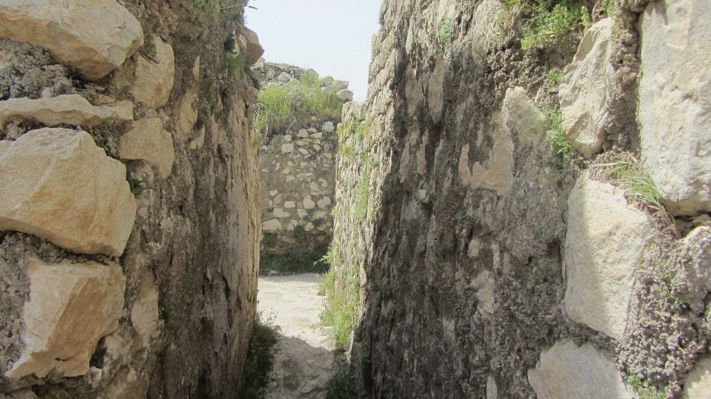 Bishapur: A Sasanian Royal City in Iran 4 Bishapur