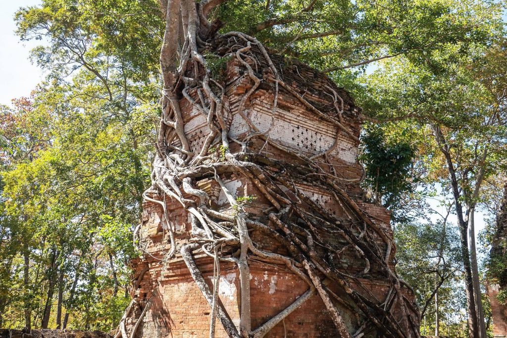 Koh Ker: The Khmer Imperial Capital of Chok Gargyar 4 Koh Ker