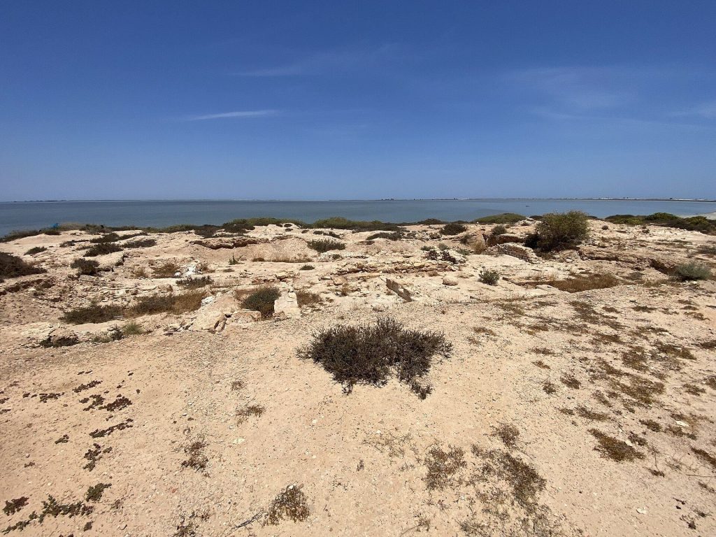 Meninx: A Phoenician and Roman Coastal City in Tunisia 4 Meninx