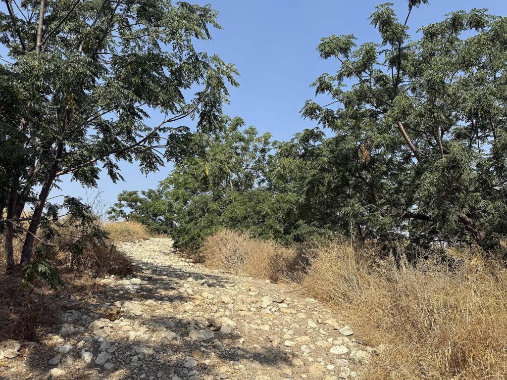 Tel Kabri: A Multi-Period Archaeological Tell in Israel 2 Tel Kabri