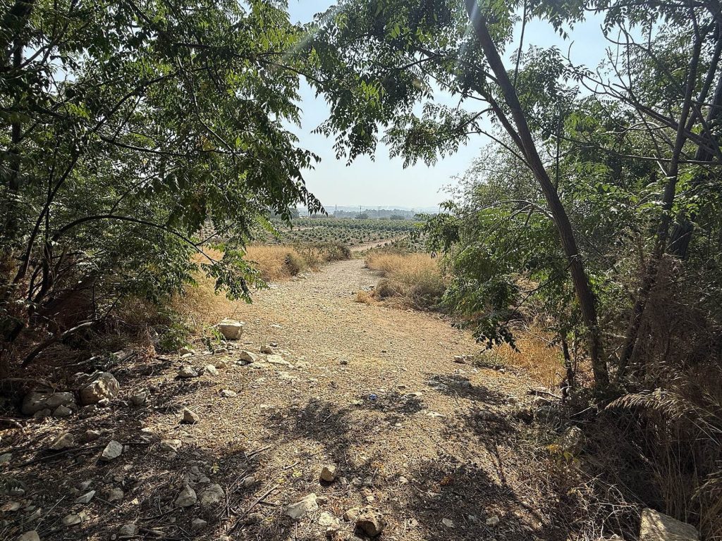 Tel Kabri: A Multi-Period Archaeological Tell in Israel 3 Tel Kabri