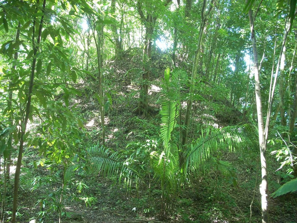 El Chal: A Maya Archaeological Site in Guatemala 2 El Chal