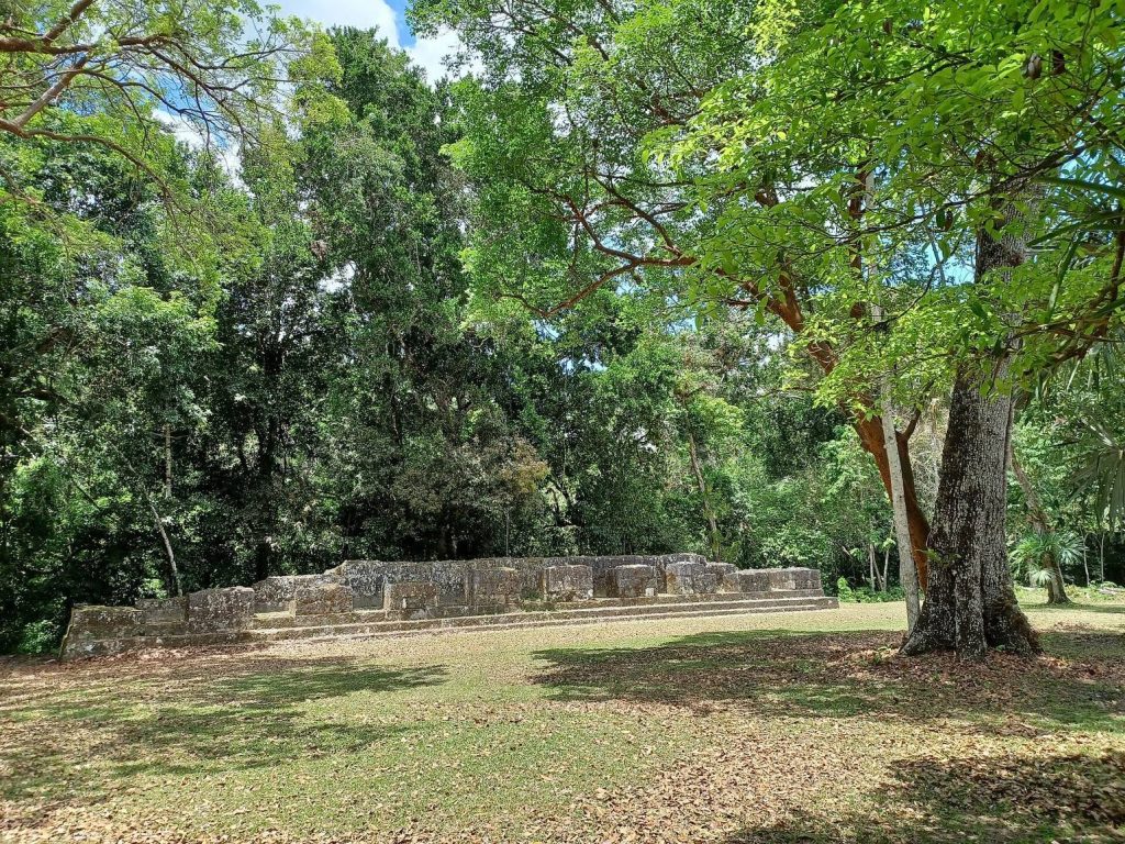 Tikal: Ancient Maya Capital and Urban Center in Guatemala 4 Tikal