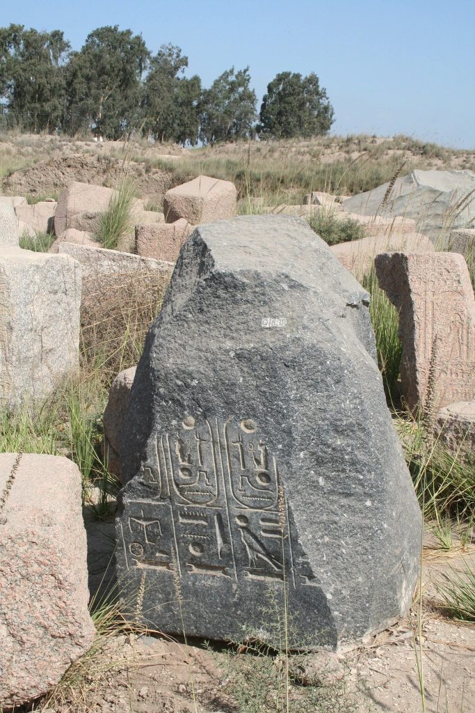 Bubastis: Ancient Egyptian City and Center of the Cult of Bastet 5 Bubastis