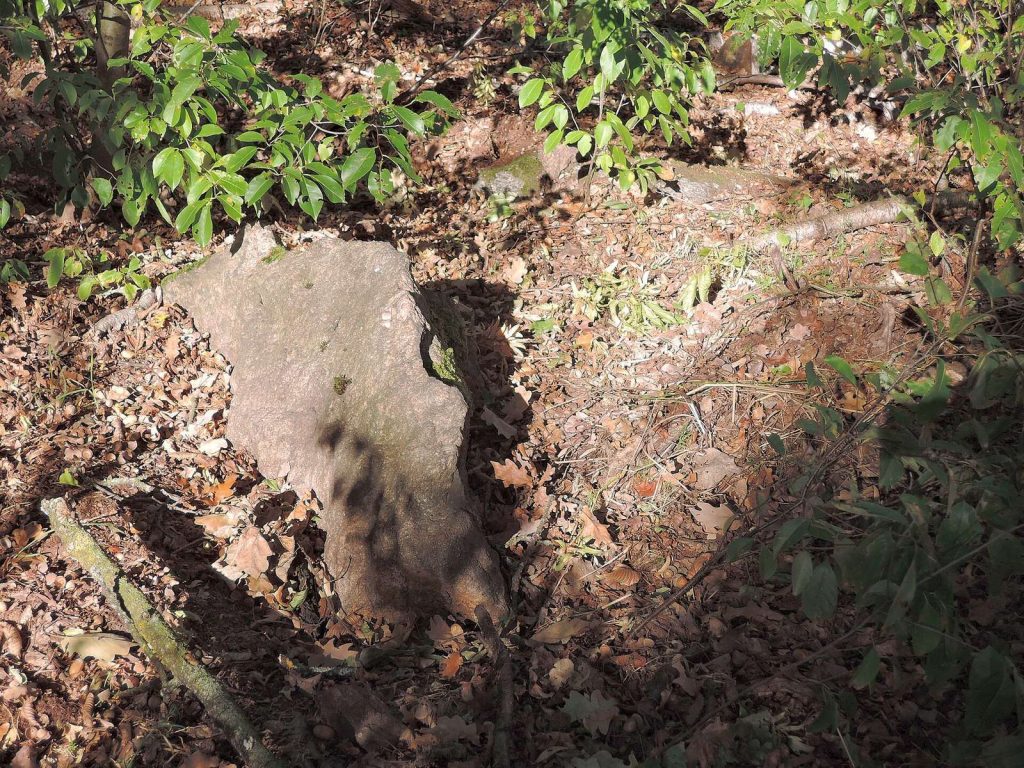 Megalithic Tombs in Haldensleben Forest: Neolithic Burial Monuments in Germany 2 Großsteingräber im Haldensleber Forst