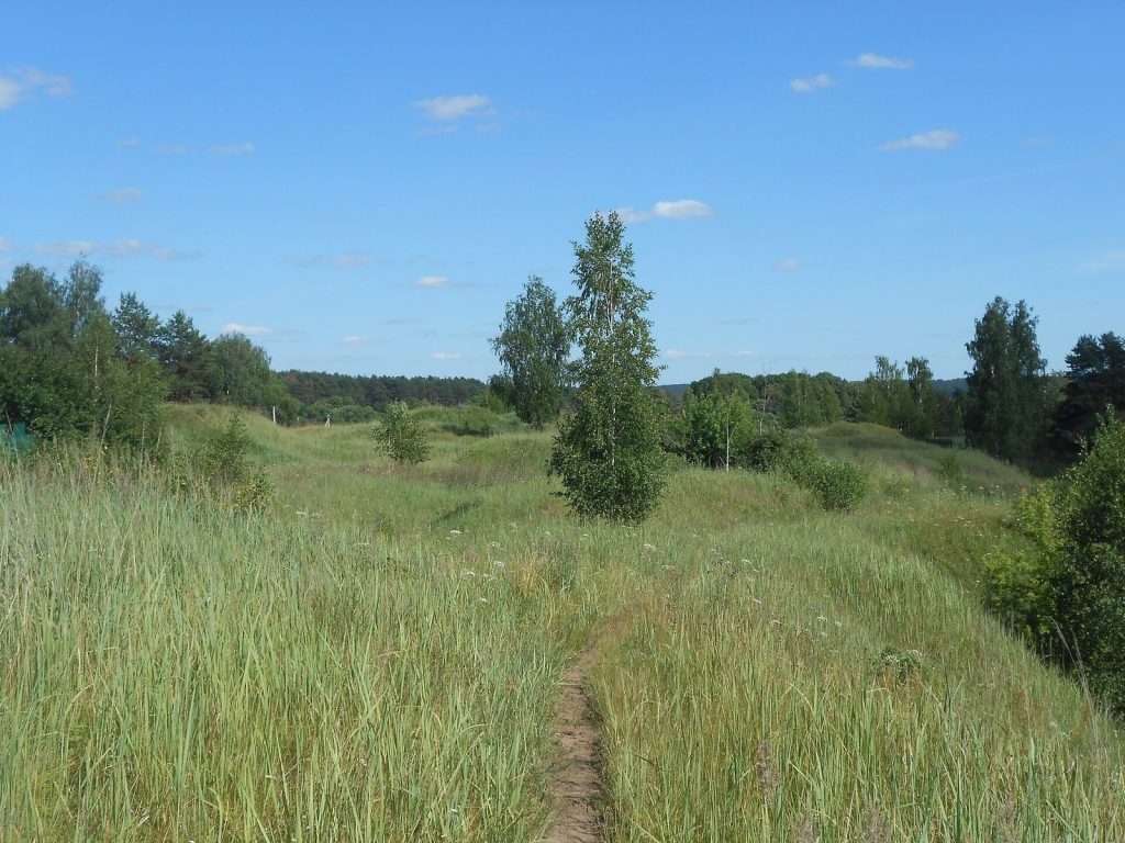 Gnezdovo