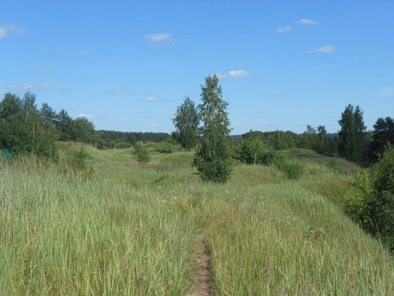 Gnezdovo: A Viking Age Trading Center and Burial Complex in Russia