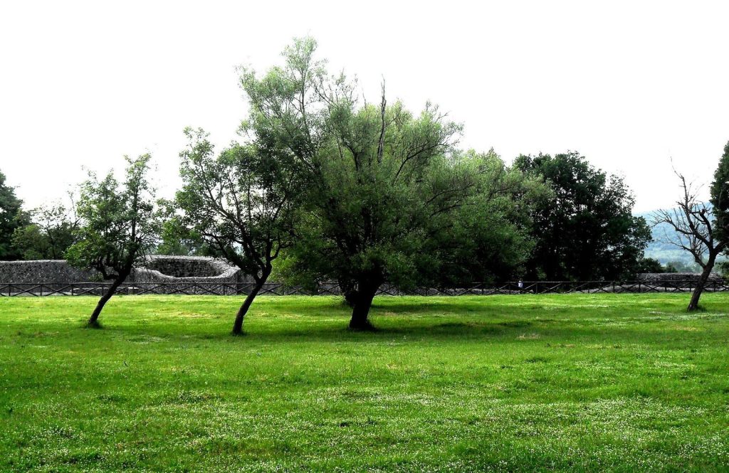 Saepinum: A Samnite and Roman Town in Italy 3 Saepinum