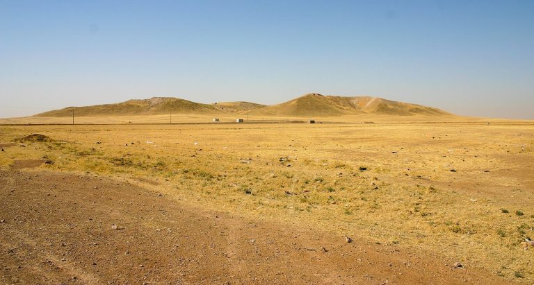 Tell Brak: An Early Urban Center in Upper Mesopotamia