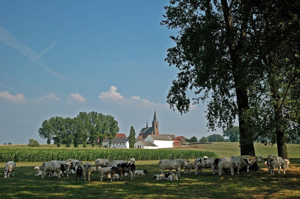 Abdij Cantimpré van Bellingen