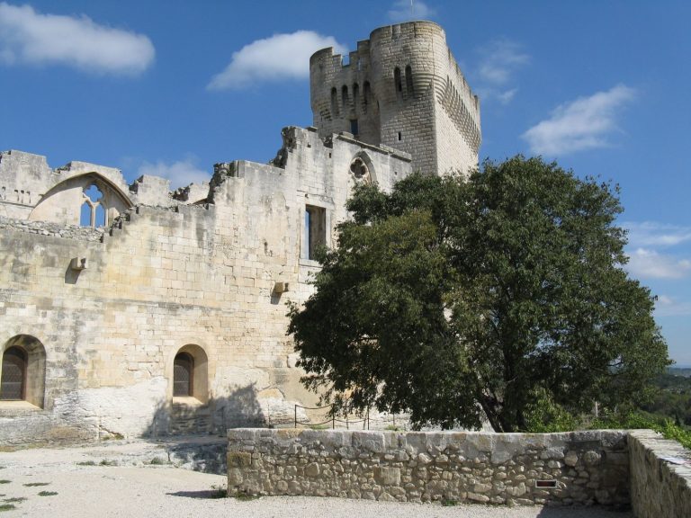Montmajour Abbey: A Benedictine Monastery near Arles