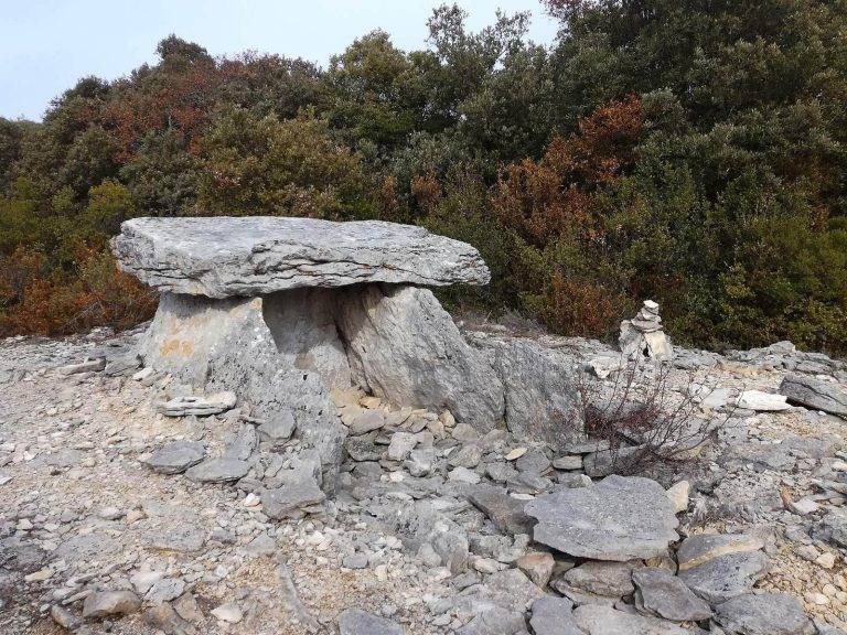 Bois des Géantes Dolmens: A Prehistoric Burial Necropolis in France