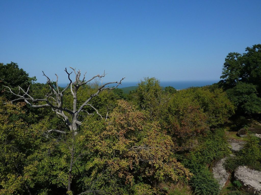 Beglik Tash: A Thracian Sanctuary in Bulgaria 2 Beglik Tash