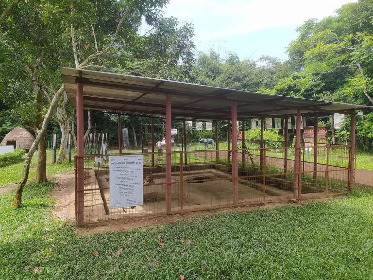 Wari-Bateshwar Ruins: An Ancient Urban Settlement in Bangladesh