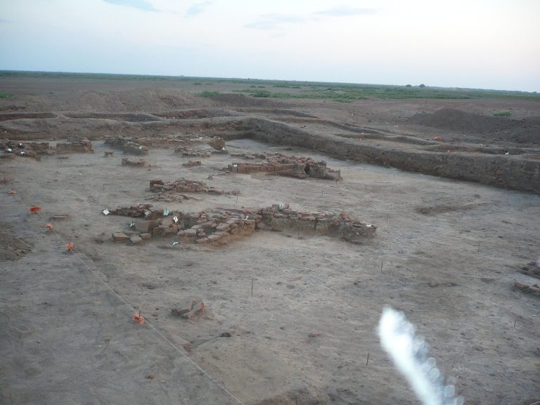 Samosdelka: A Medieval Settlement in the Volga Delta