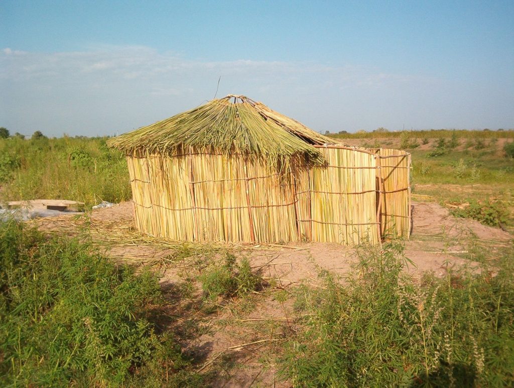 Samosdelka: A Medieval Settlement in the Volga Delta 3 Samosdelka