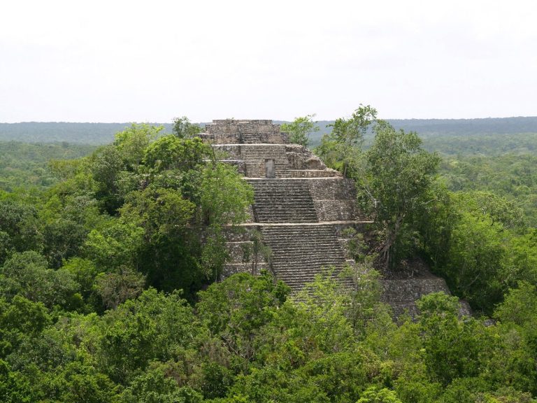 Calakmul: An Ancient Maya City in Campeche, Mexico