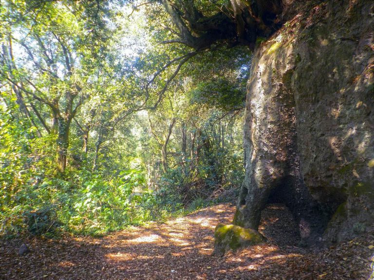 Veii: An Etruscan City and Roman Settlement in Italy