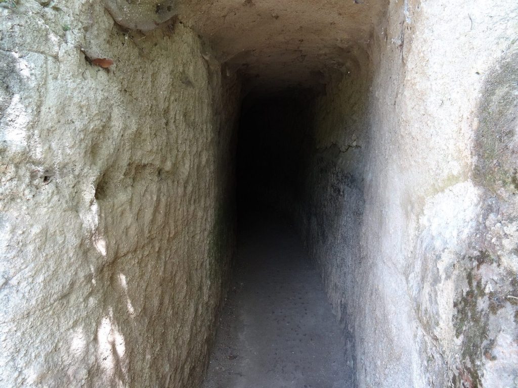 Veii: An Etruscan City and Roman Settlement in Italy 2 Veii