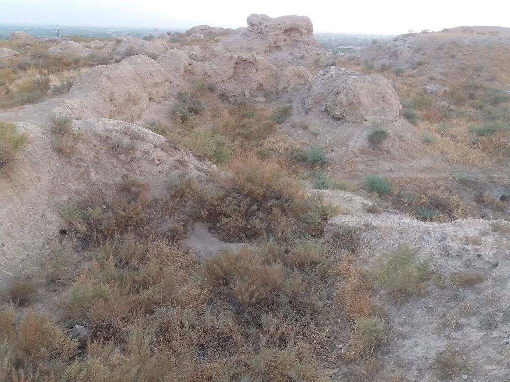 Dvin: An Ancient Armenian Royal Capital and Trade City 3 Dvin