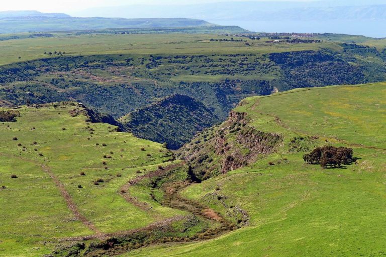 Gamla: A Jewish Town and Stronghold of the Revolt against Rome