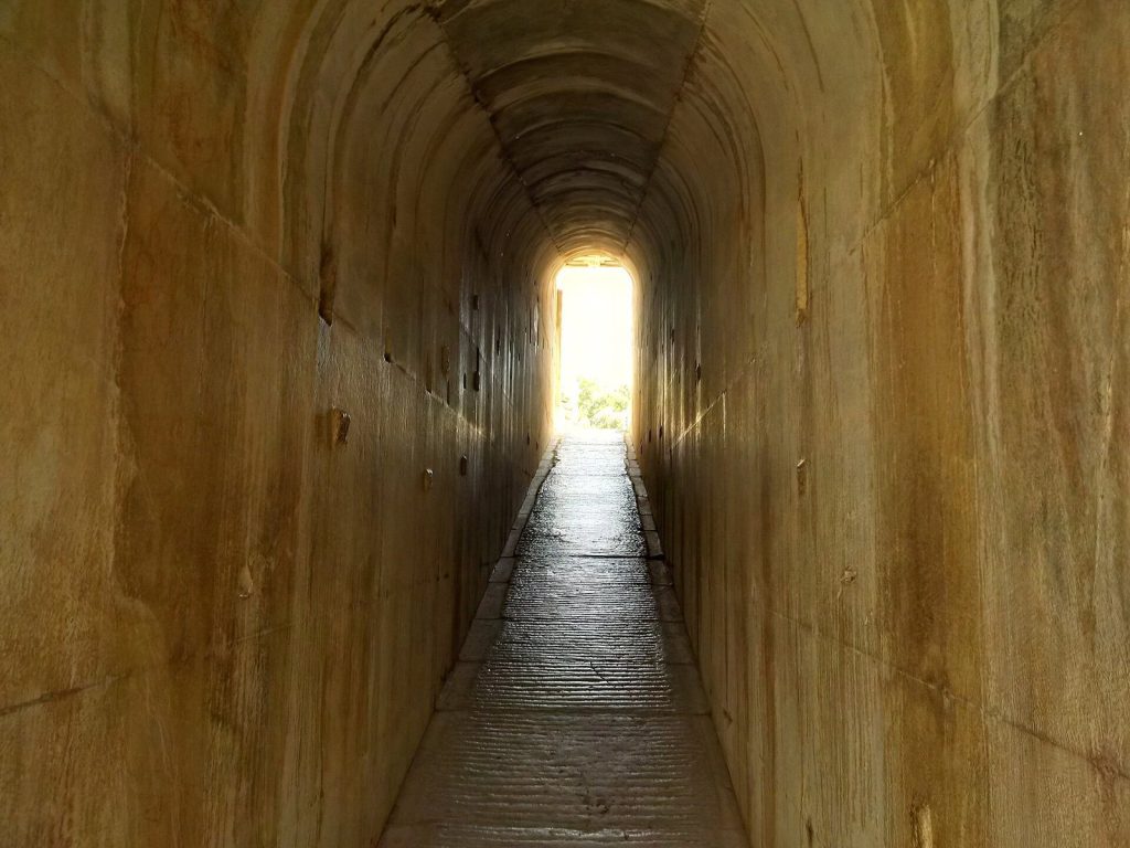 Didyma: The Sanctuary and Oracle of Apollo 4 Didyma
