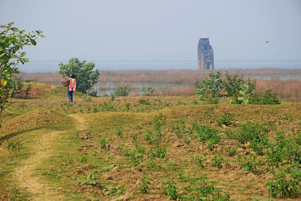 Telkupi: A Medieval Temple Settlement in West Bengal 2 Telkupi