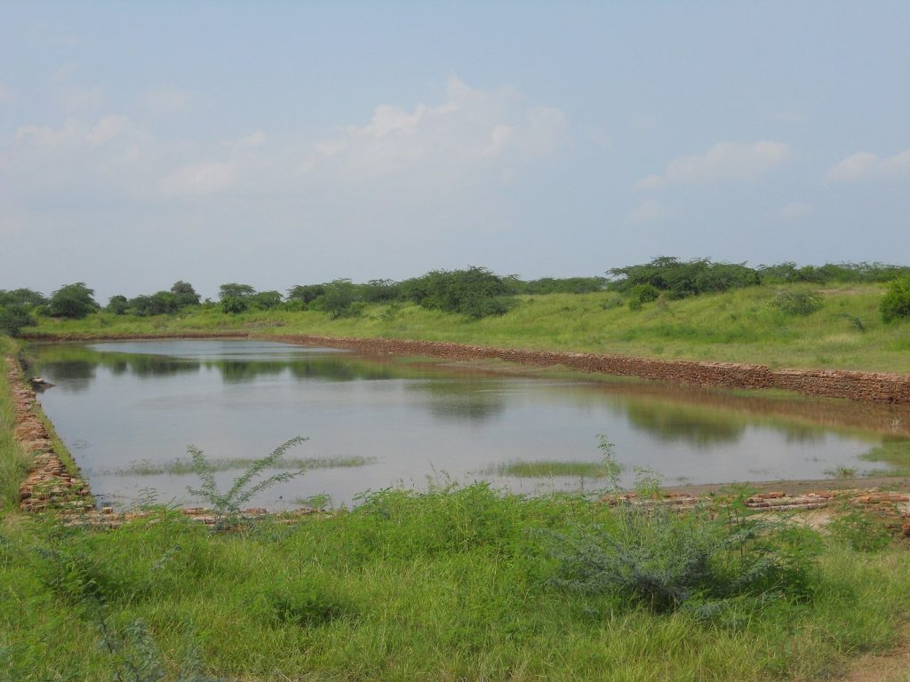 Lothal: A Harappan Trading and Manufacturing Center 4 Lothal