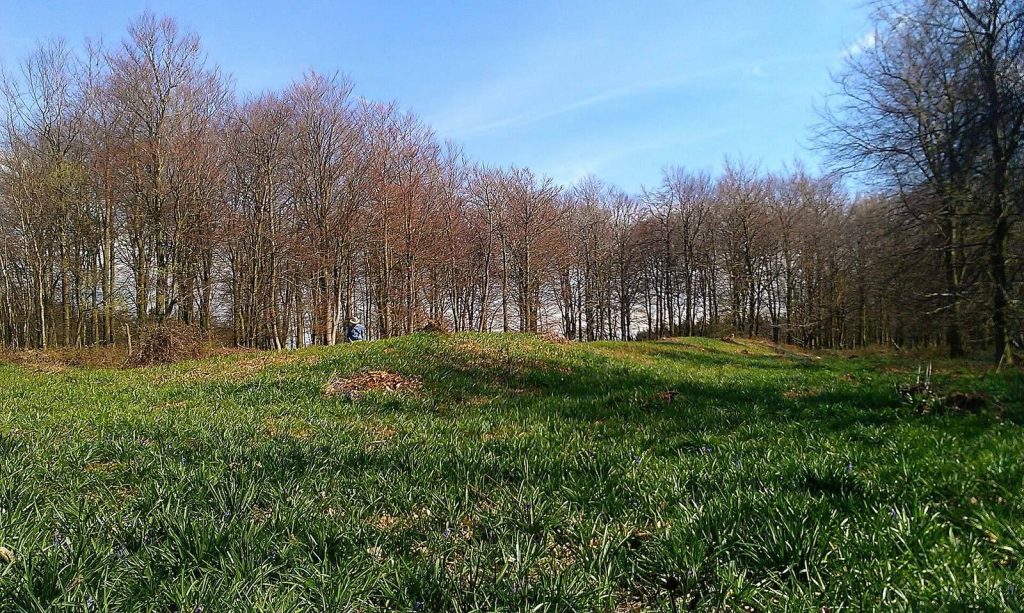 Medway Megaliths: Early Neolithic Tombs and Monuments in Kent 2 Medway megaliths