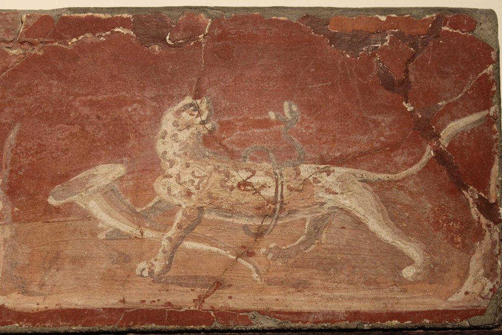 Villa of the Papyri: A Roman Country Villa at Herculaneum 2 Villa of the Papyri
