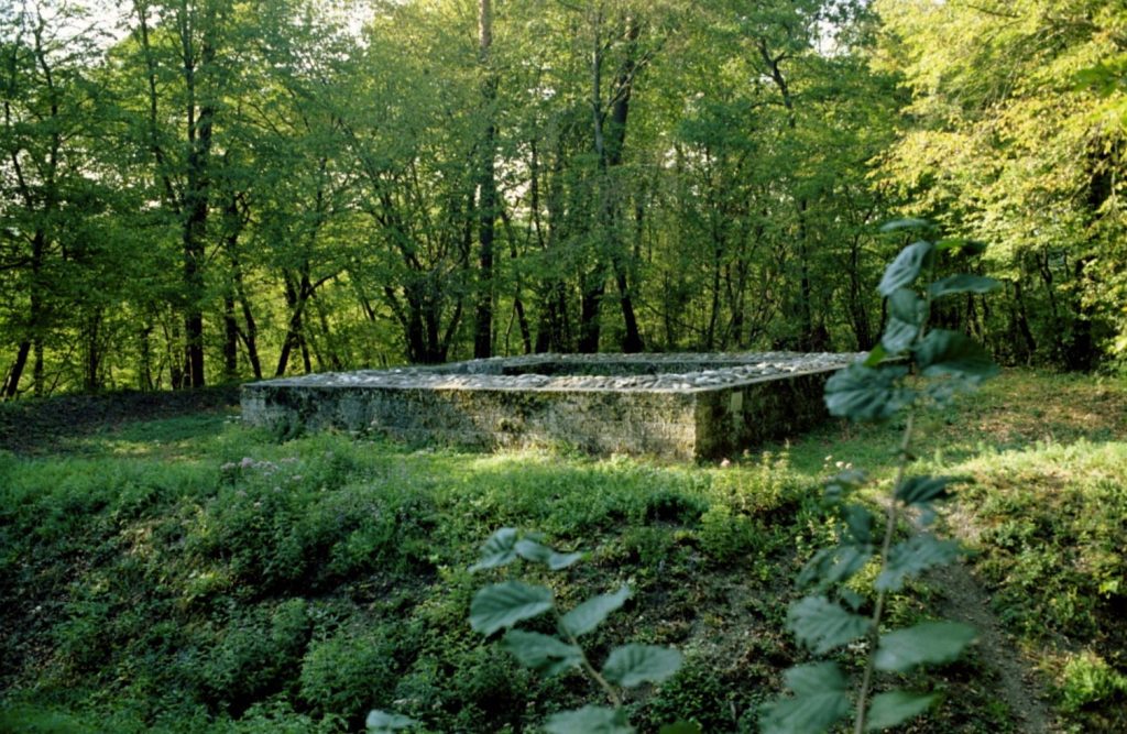 Iuliomagus: A Roman Town in Switzerland 3 Iuliomagus