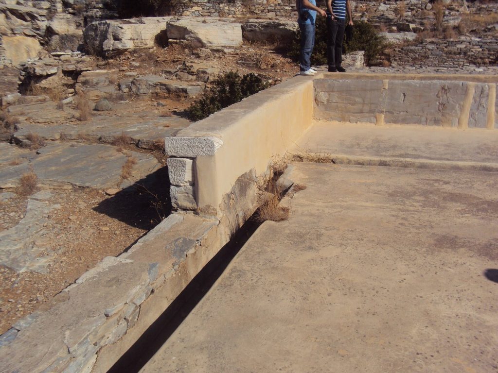 Thoricus