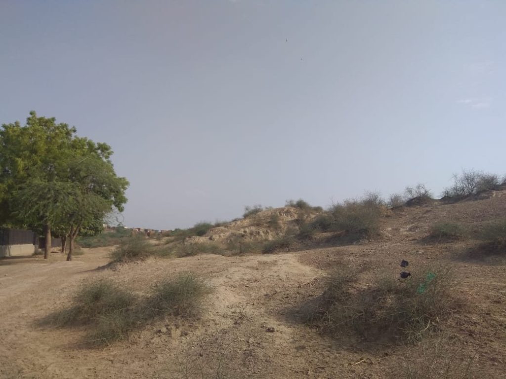 Rakhigarhi: An Indus Valley Civilization Settlement in Haryana, India 1 Rakhigarhi
