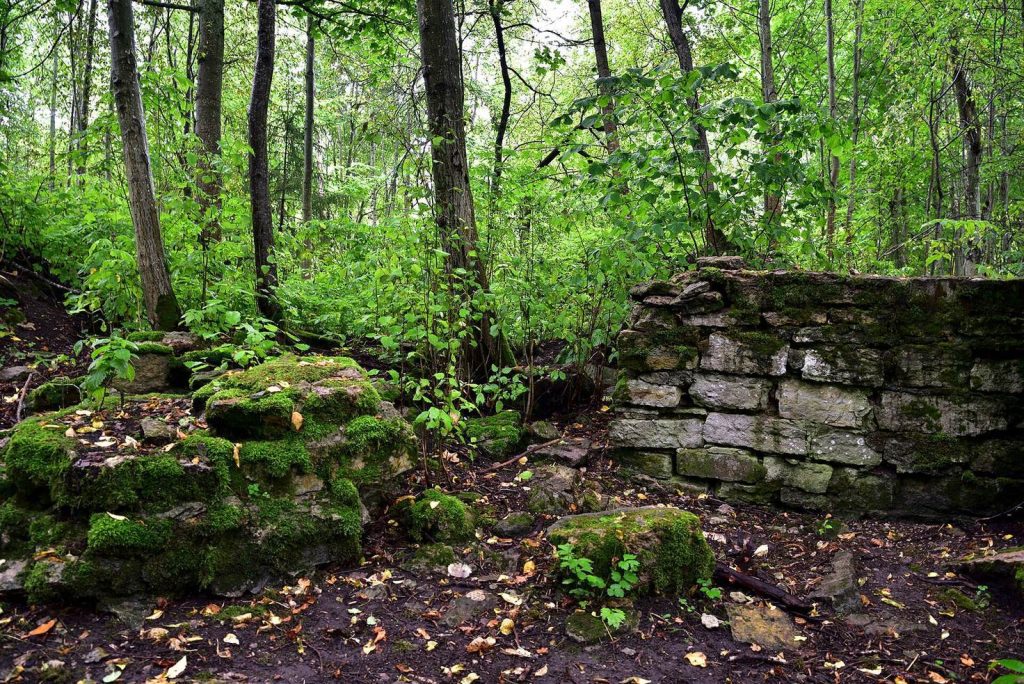 Lubshanskaya Fortress: An Early Medieval Fortified Settlement in Russia 1 Lubshanskaya fortress