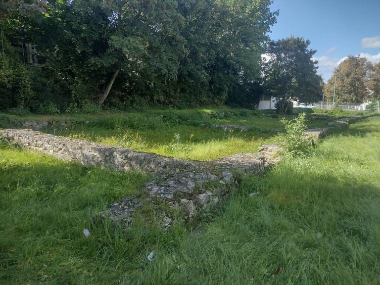 Castrum Altinum: A Late Roman Fort at Alzey, Germany