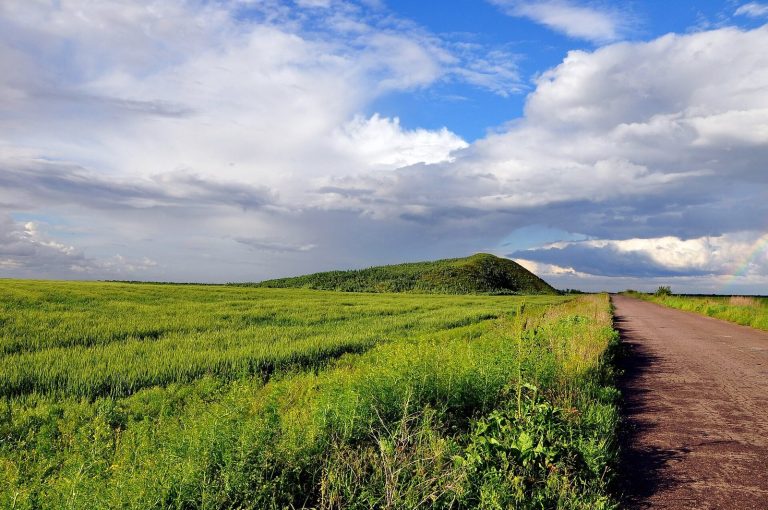 Oguz Kurgan: A Scythian Royal Burial Mound in Ukraine