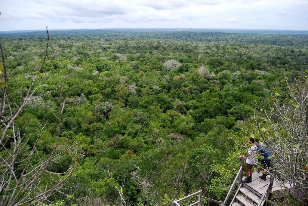 El Mirador: A Preclassic Maya Regional Center in Guatemala 2 El Mirador