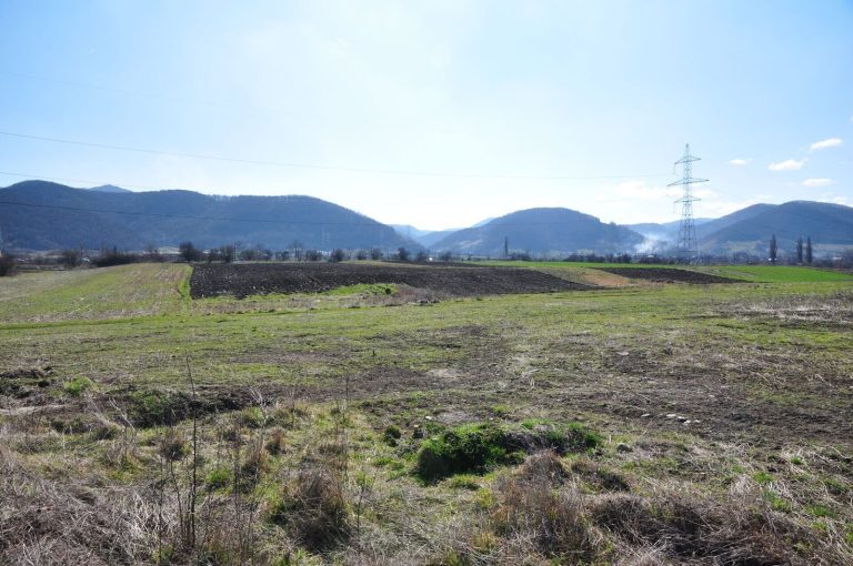 Castra Micia: A Roman Fort on Dacia’s Western Frontier