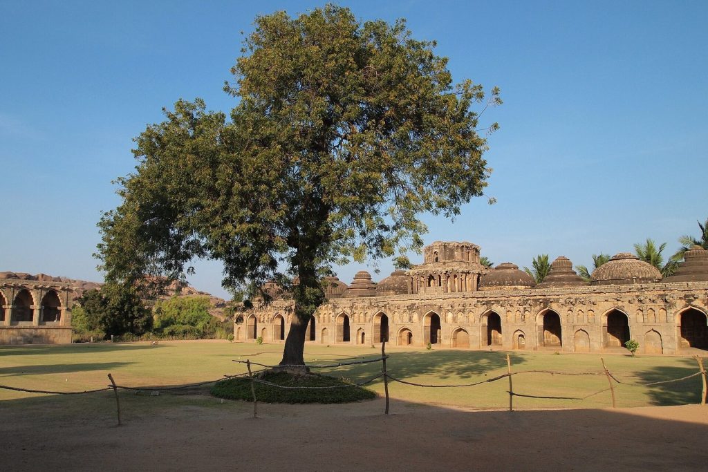 Vijayanagara: Capital of the Vijayanagara Empire 2 Vijayanagara