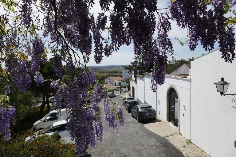 Basílica Real de Castro Verde: A Royal Basilica and Parish Church