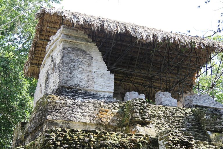 Topoxte: A Postclassic Maya City in Guatemala