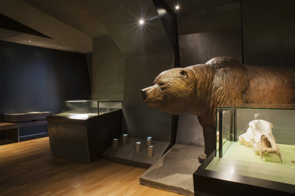 Laténium: The Cantonal Archaeological Museum of Neuchâtel 2 Laténium, cantonal archaeological museum
