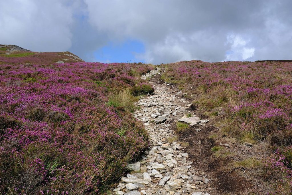 Tre'r Ceiri: An Iron Age Hillfort in Wales 1 Tre'r Ceiri
