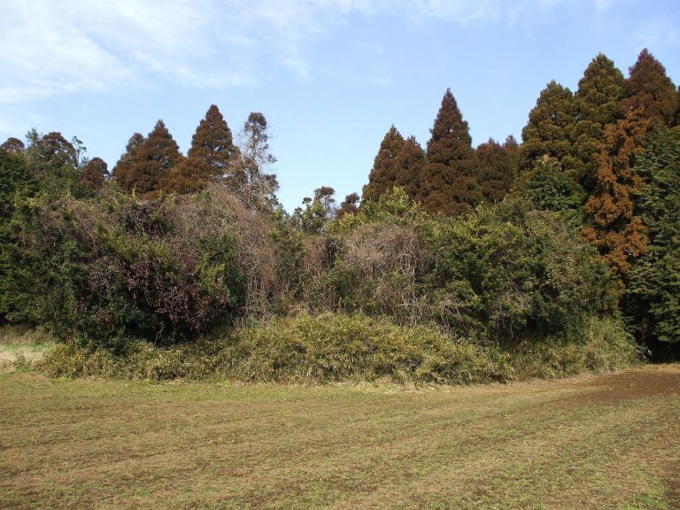 Danotsuka Kofun: A Square Burial Mound in Chiba