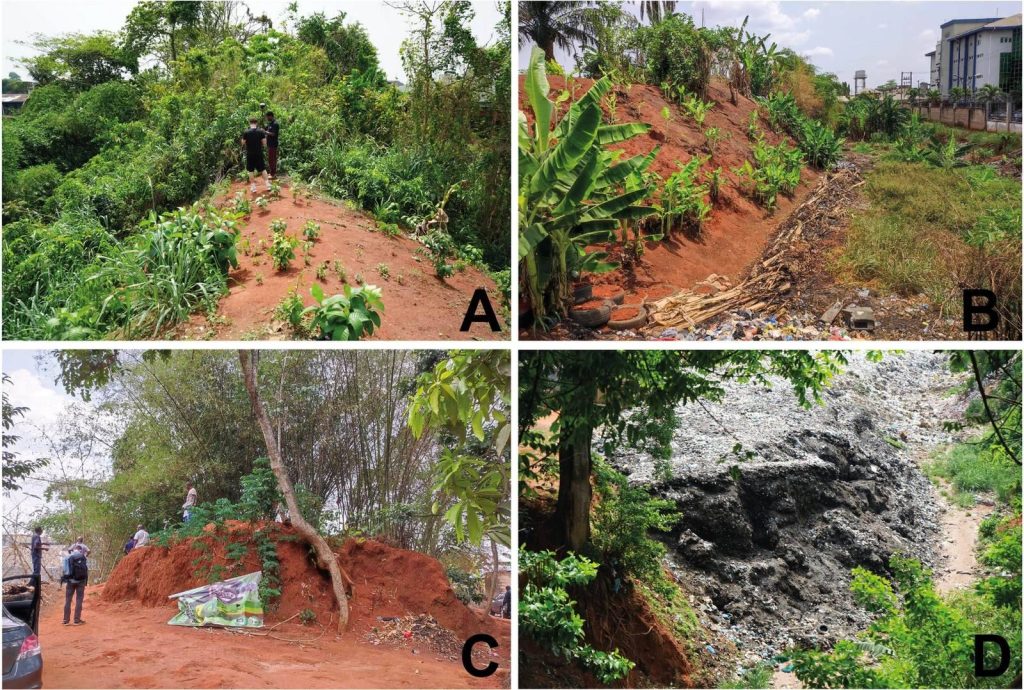 Benin Moat: The Central Defensive Earthwork of Benin City 1 Benin Moat