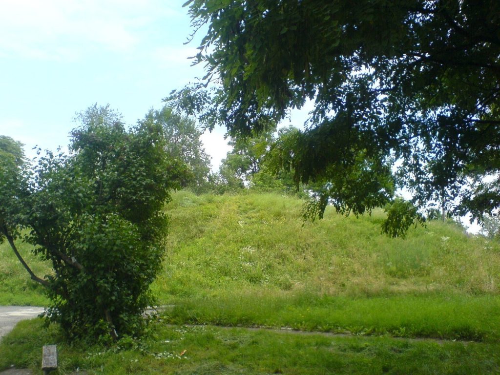 Black Grave: A Kievan Rus Burial Mound in Chernihiv 2 Black Grave