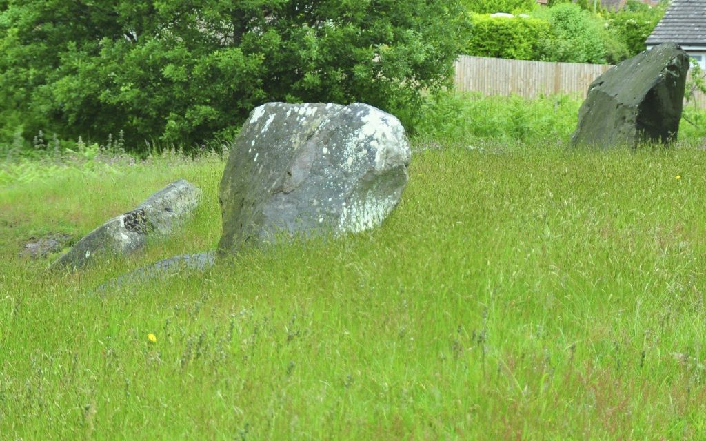 Addington Long Barrow: An Early Neolithic Burial Monument 2 Addington Long Barrow