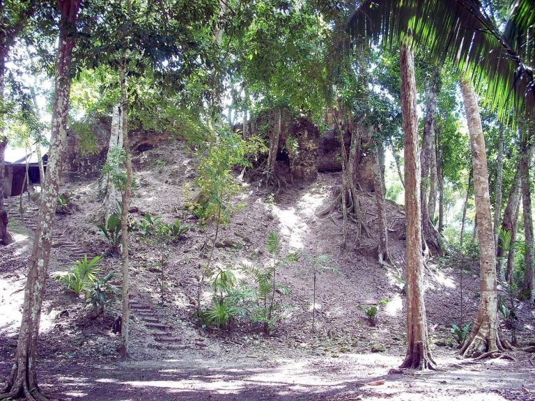 La Blanca: A Maya Administrative Center in Guatemala